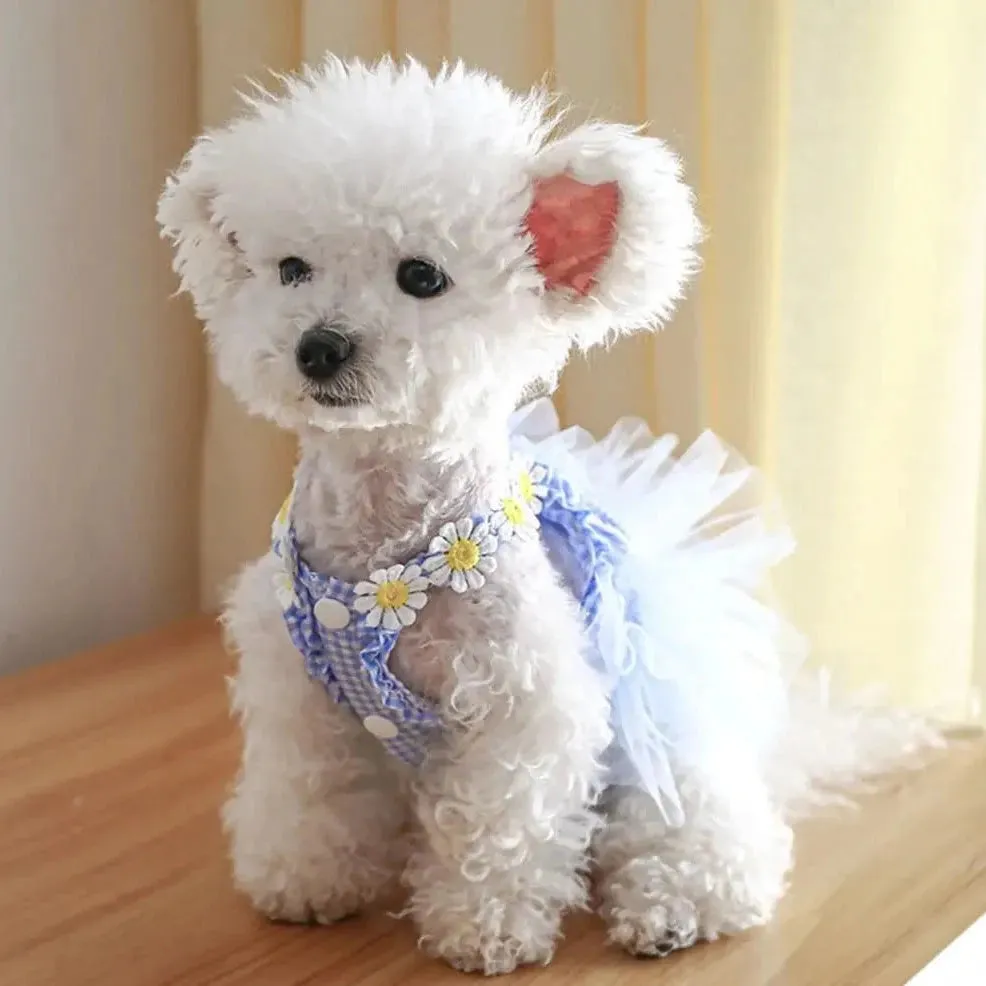 Bunny Ears Sleeveless Summer Dress – Adorable & Lightweight Pet Outfit