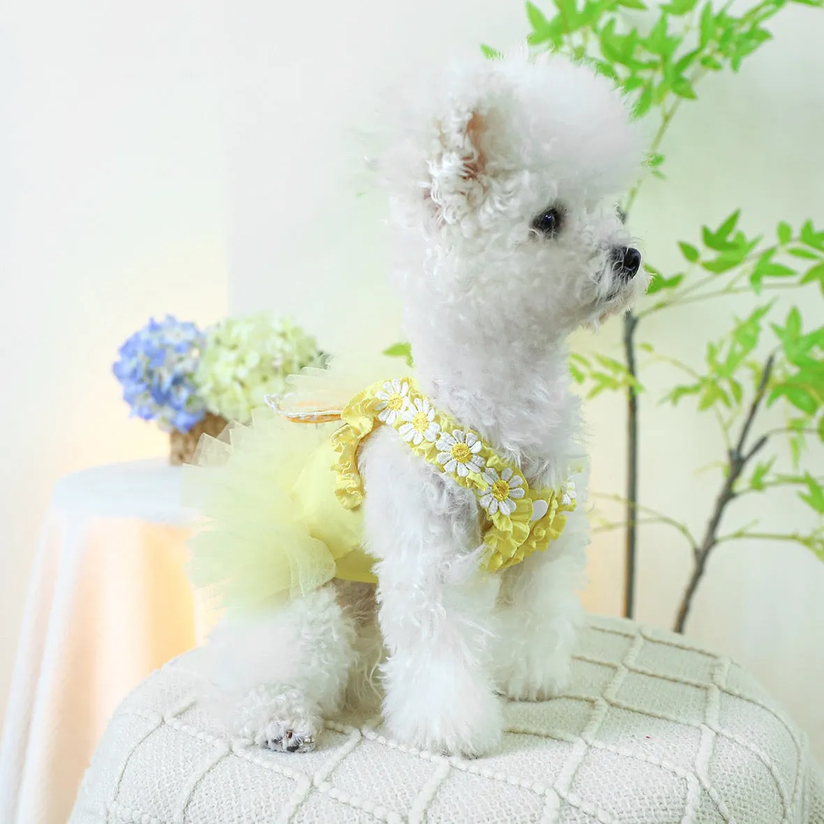 Bunny Ears Sleeveless Summer Dress – Adorable & Lightweight Pet Outfit