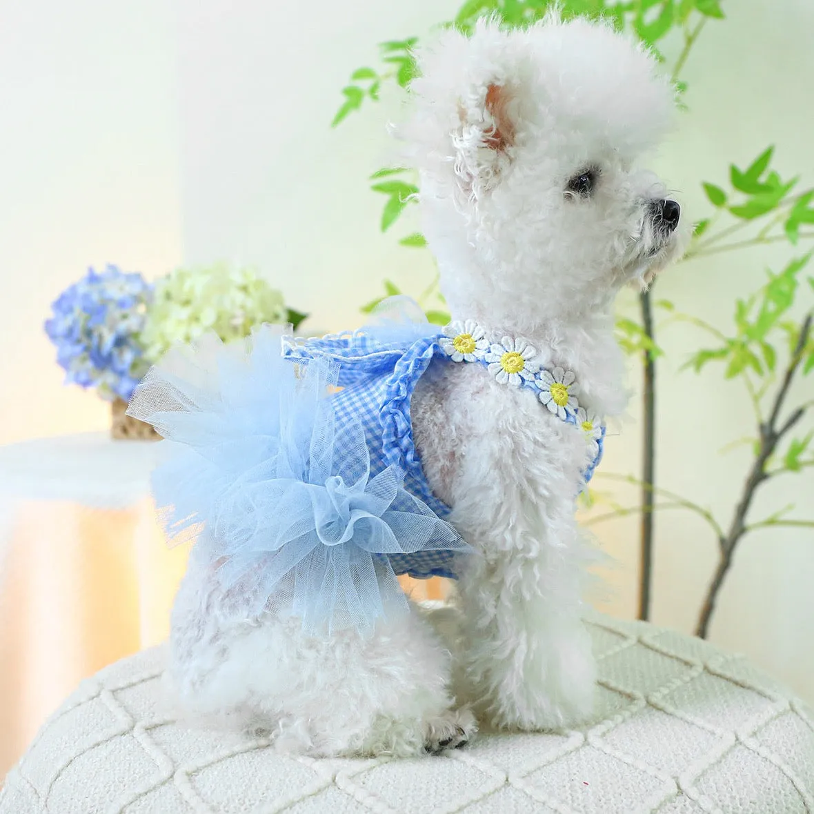 Bunny Ears Sleeveless Summer Dress – Adorable & Lightweight Pet Outfit