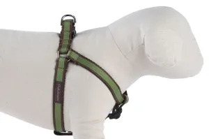 Chocolate/Green Stripe Dog Harness - 301