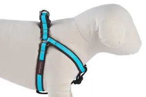 Chocolate/Turquoise Stripe Dog Harness - 304