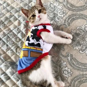 Cute Pet Vest Shirt Costume