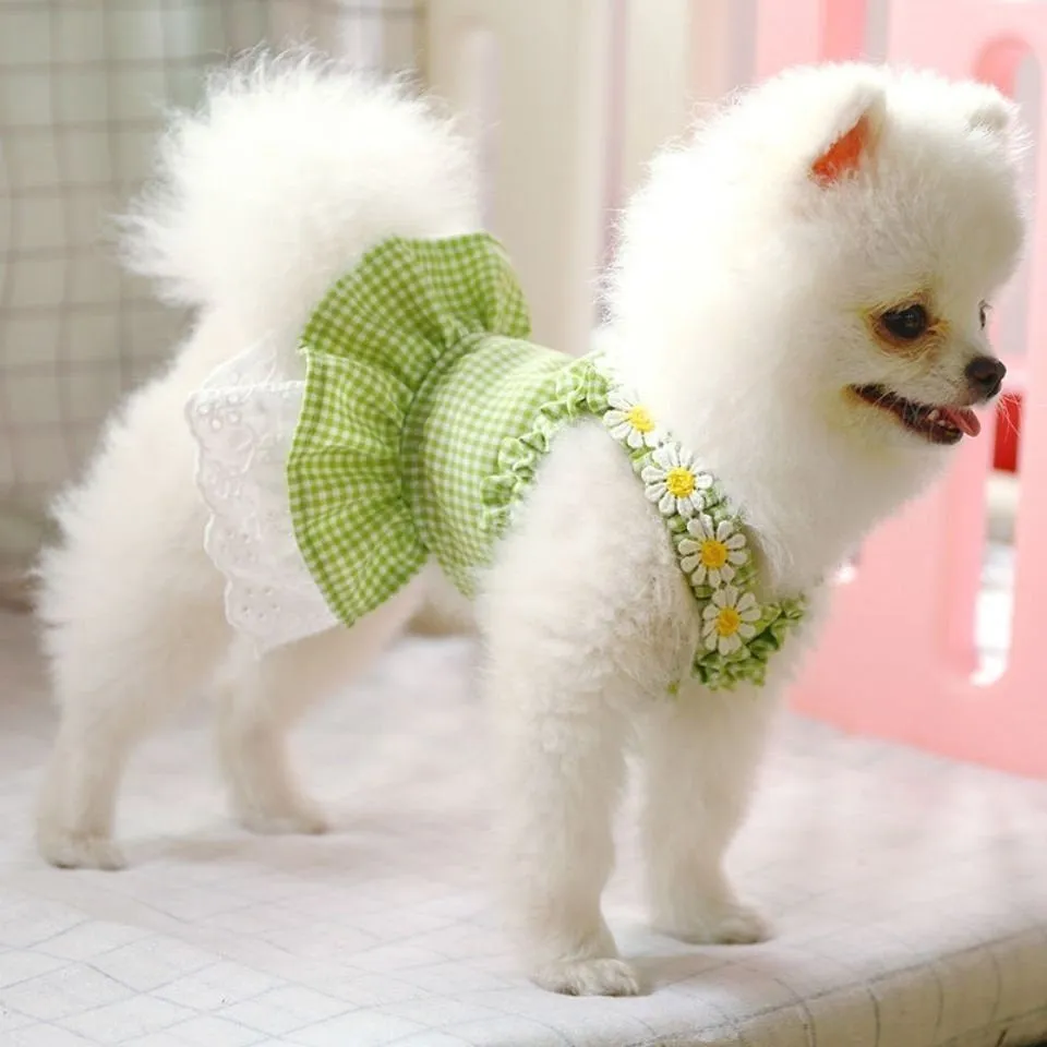 Daisy Halter Gingham Pet Dress