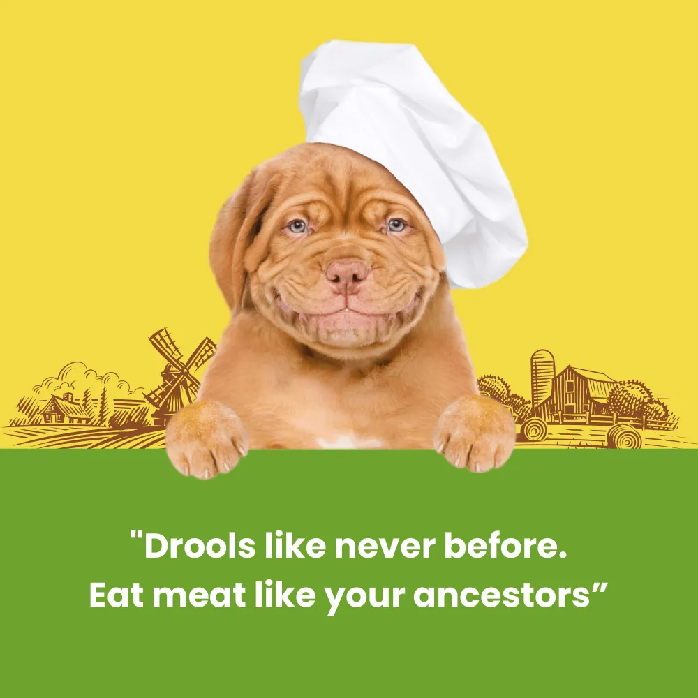 Dogfest Rabbit Meat Sticks Dog Treats (Limited Shelf life)