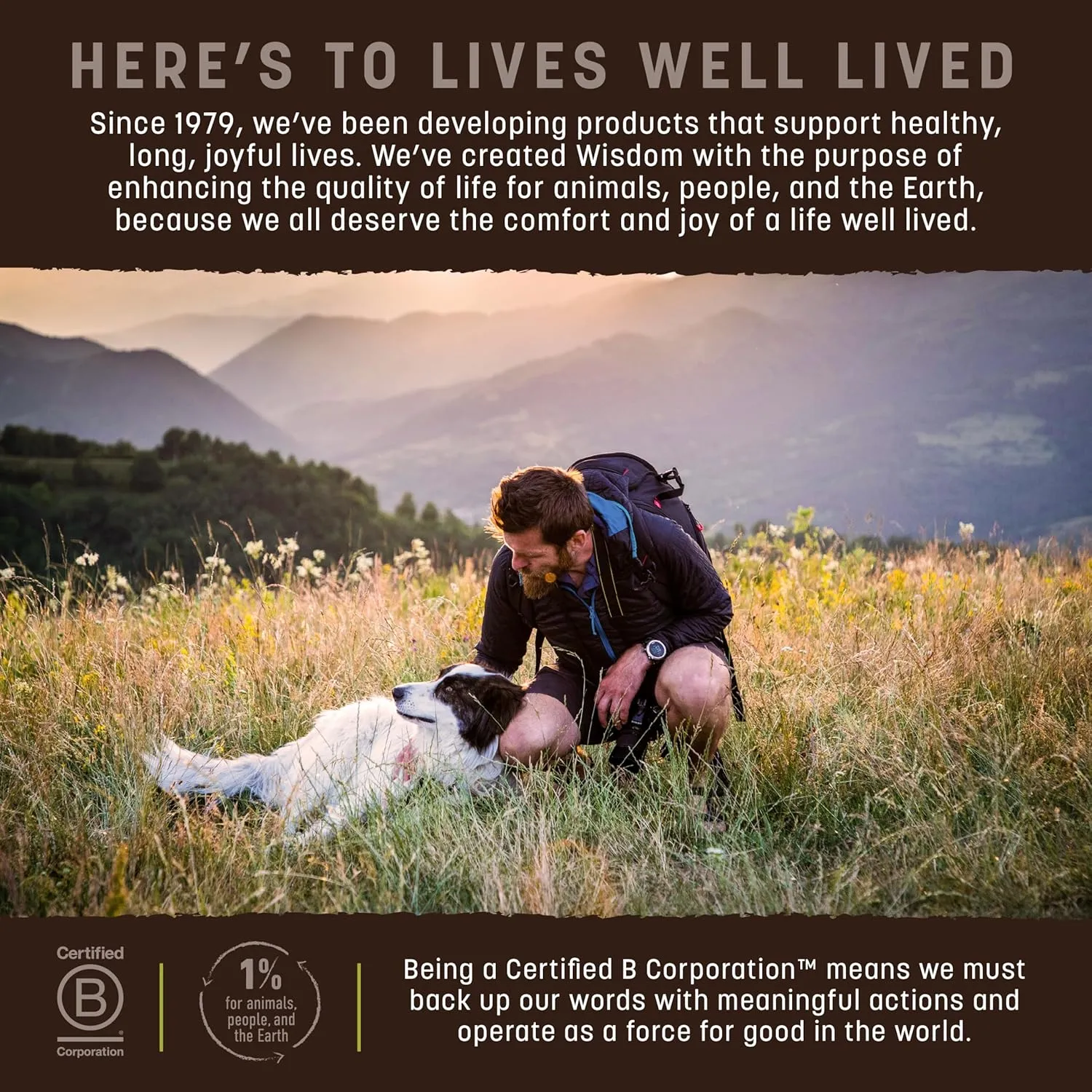 Earth Animal Wisdom Air Dried Dog Food | From The Seed Recipe Premium Natural Dog Food | Plant-Based | All Breeds & Ages | Made in The USA | 8 Pound Bag