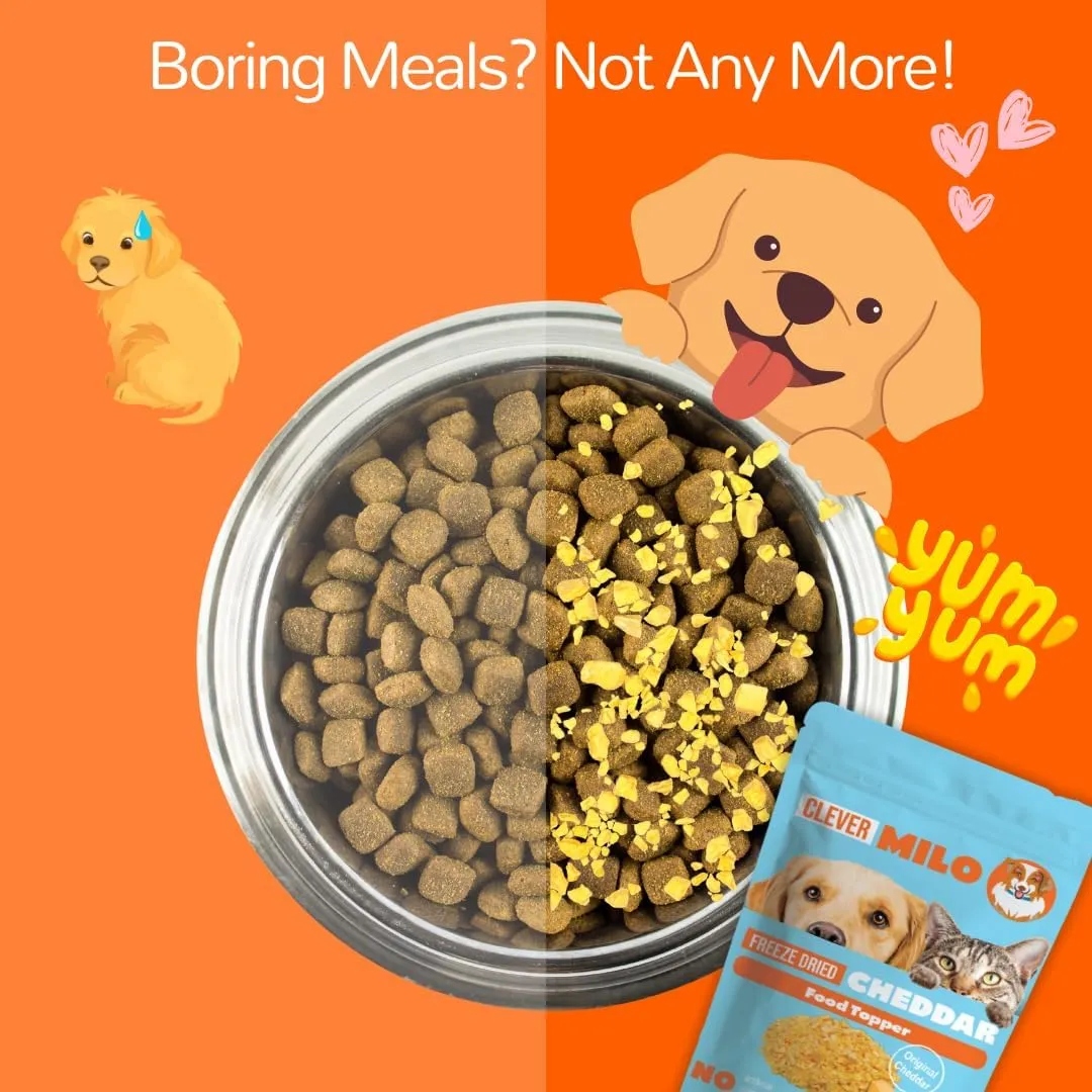 Freeze Dried Dog Food Treats - Dogs Cheese Treats - Also Use As Topper or Treat; Freeze Dried Raw Dog Food - Healthy Dog Treats (Pack of 01, Cheddar Cheese Topper)