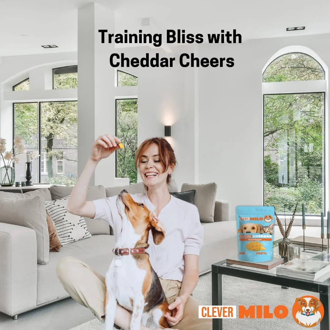 Freeze Dried Dog Food Treats - Dogs Cheese Treats - Also Use As Topper or Treat; Freeze Dried Raw Dog Food - Healthy Dog Treats (Pack of 01, Cheddar Cheese Topper)