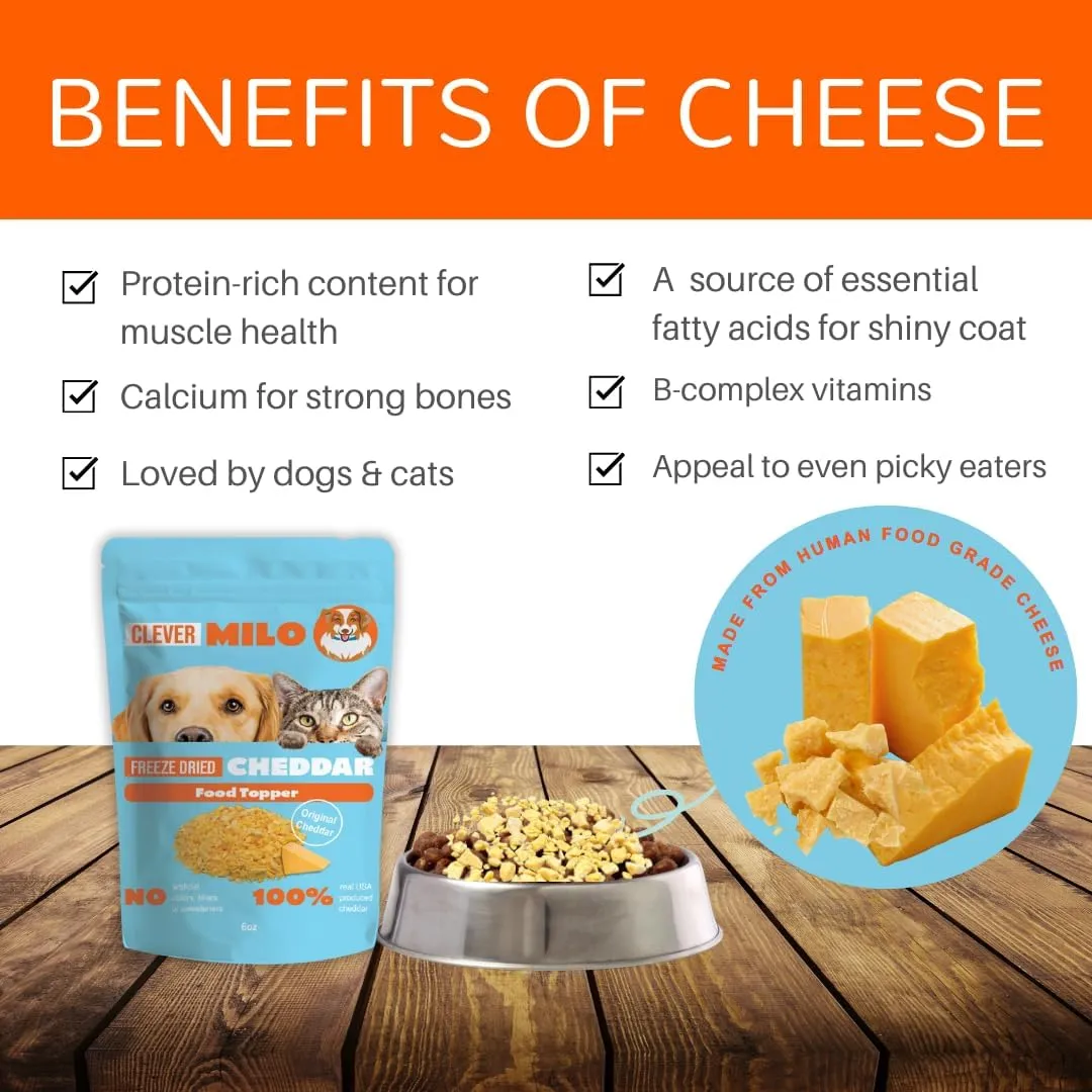 Freeze Dried Dog Food Treats - Dogs Cheese Treats - Also Use As Topper or Treat; Freeze Dried Raw Dog Food - Healthy Dog Treats (Pack of 01, Cheddar Cheese Topper)