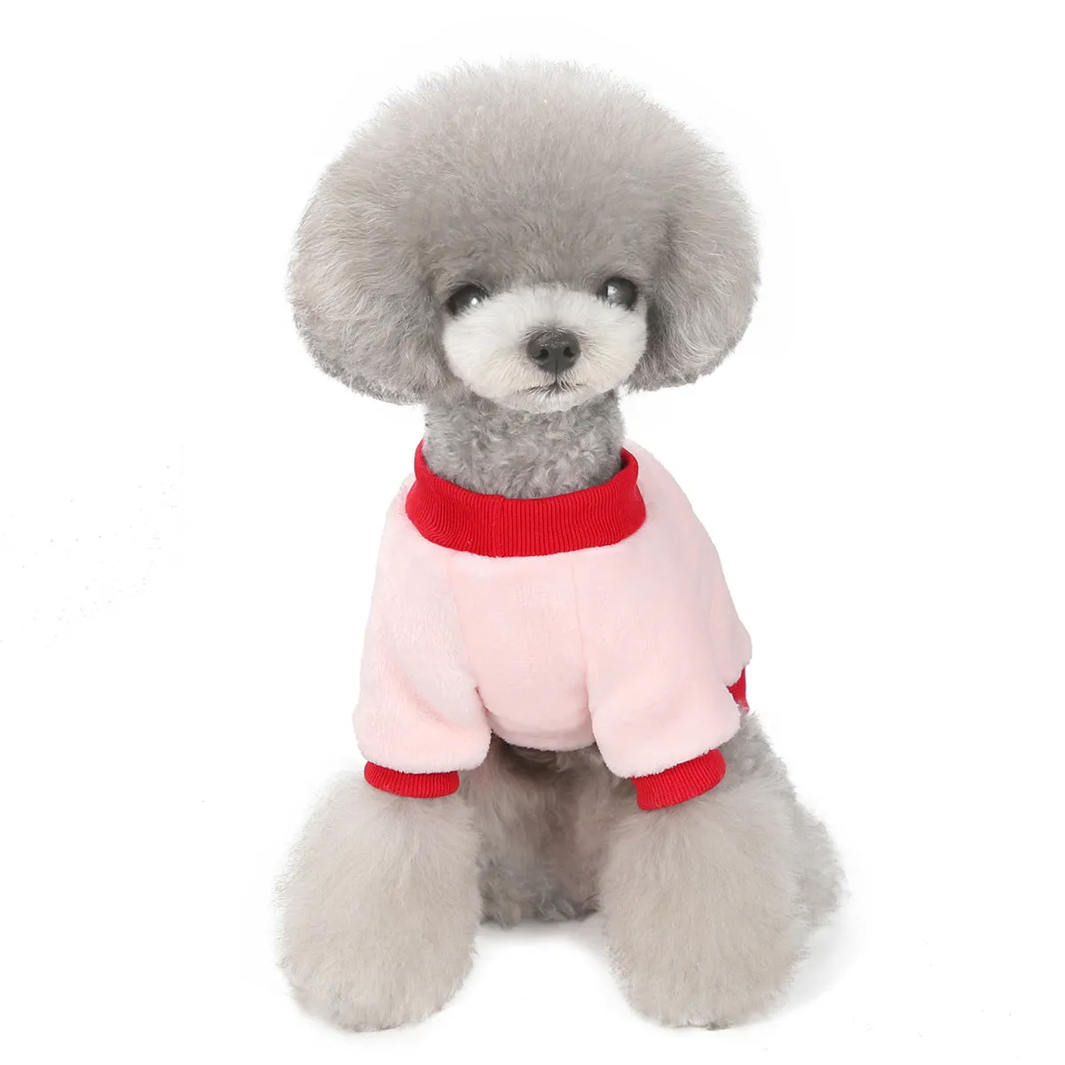 Fruit pattern coral fleece soft pet clothing