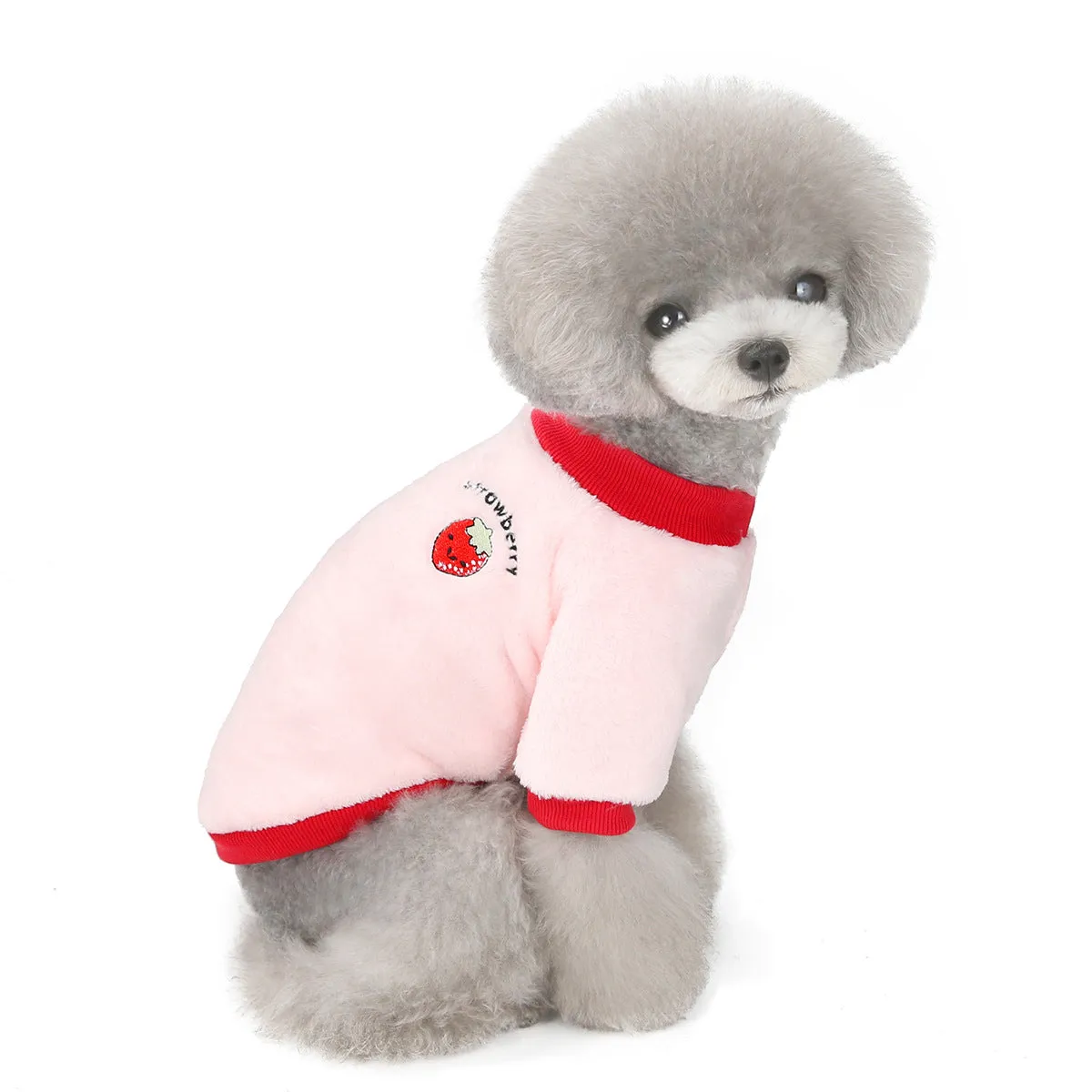 Fruit pattern coral fleece soft pet clothing