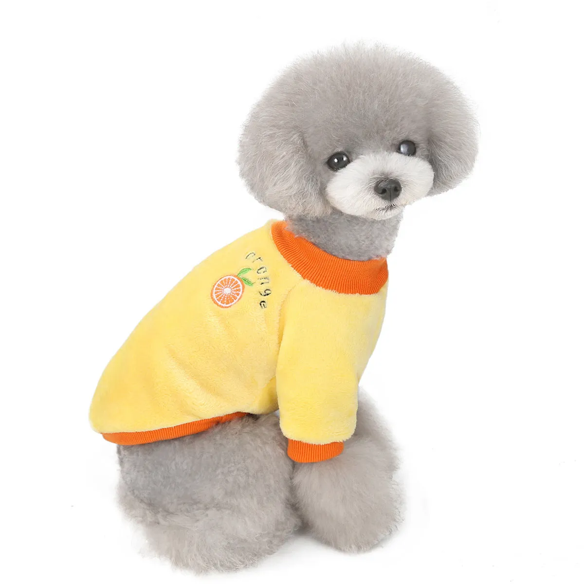 Fruit pattern coral fleece soft pet clothing