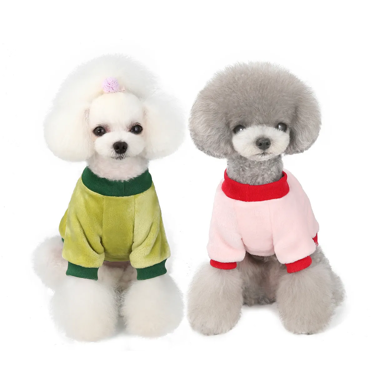 Fruit pattern coral fleece soft pet clothing