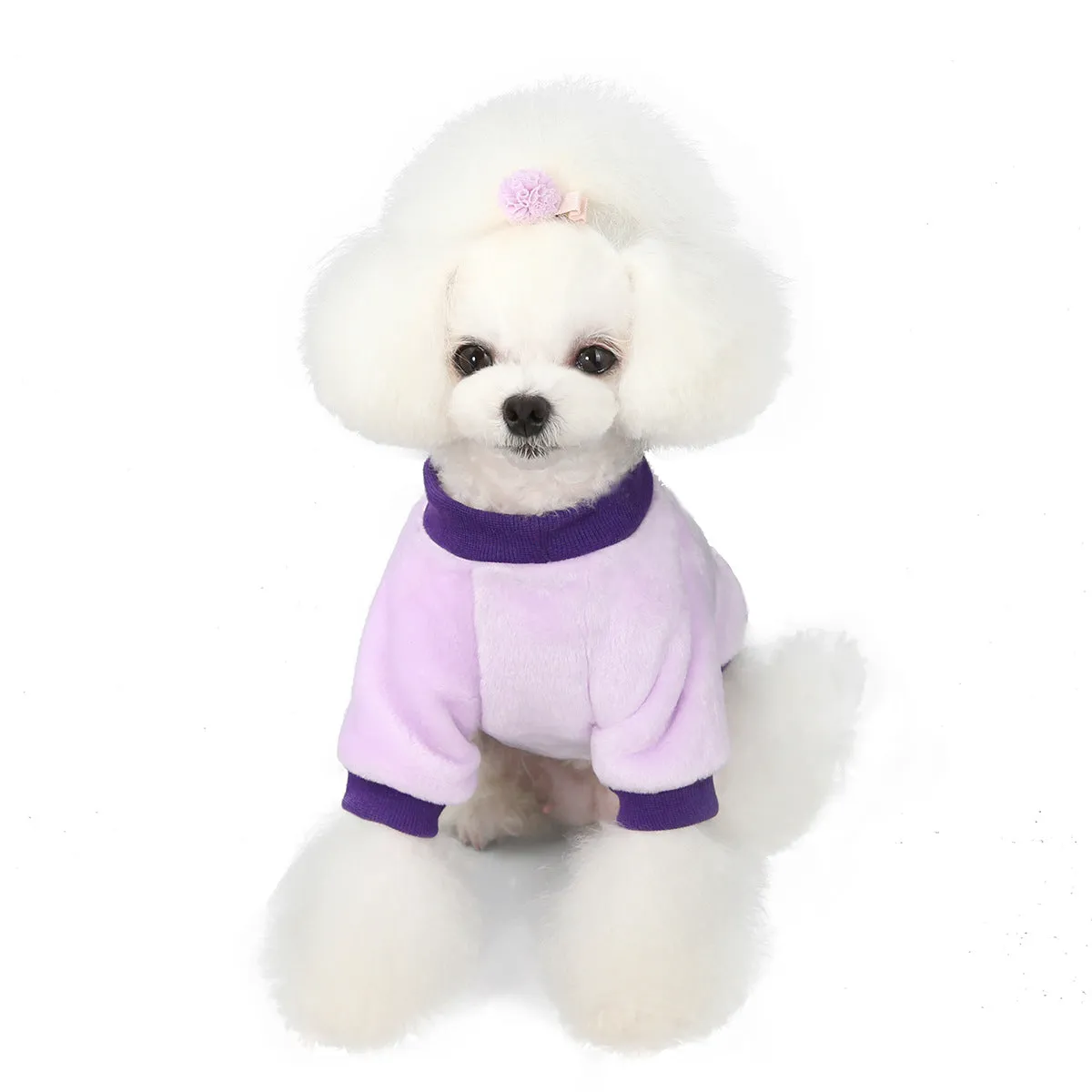 Fruit pattern coral fleece soft pet clothing