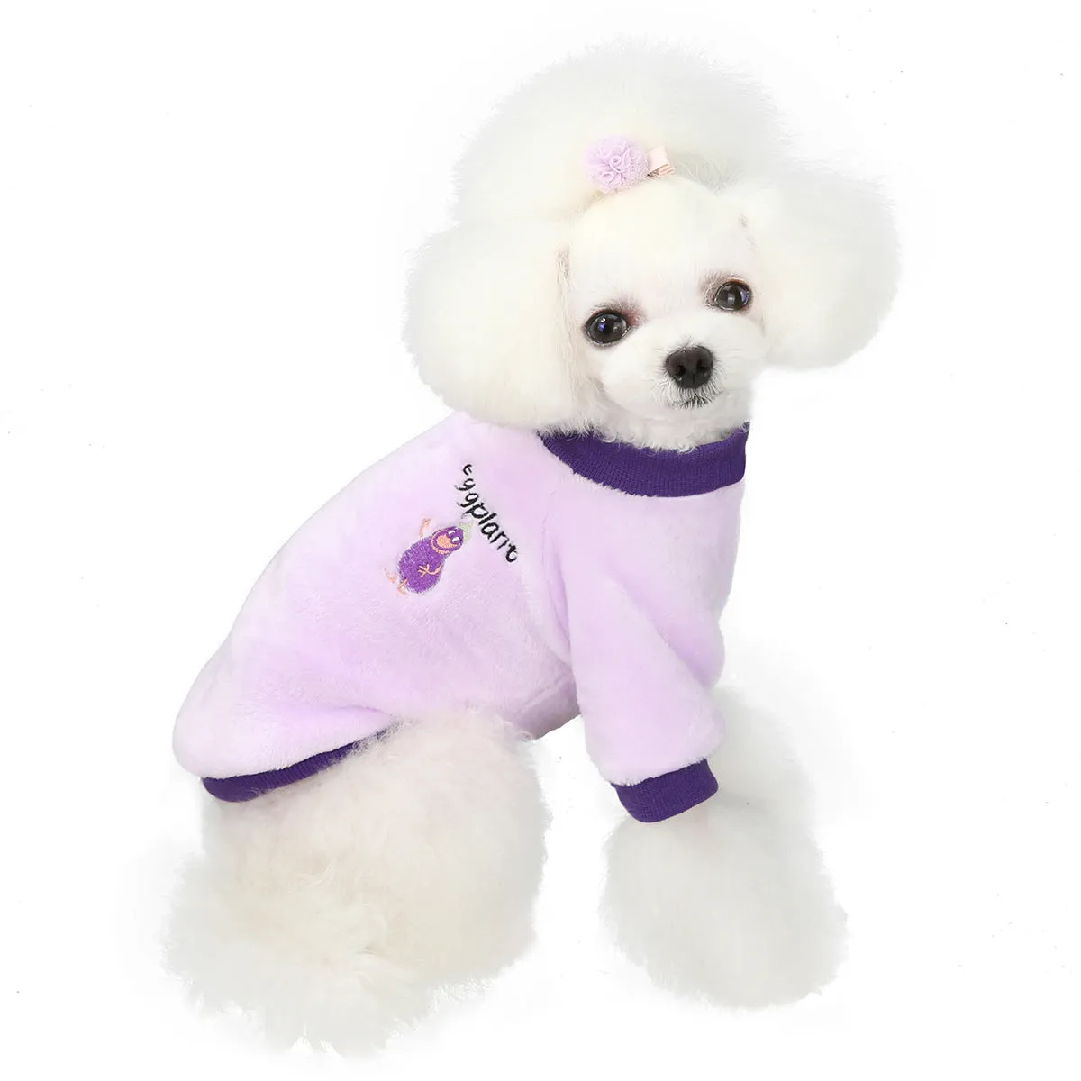 Fruit pattern coral fleece soft pet clothing