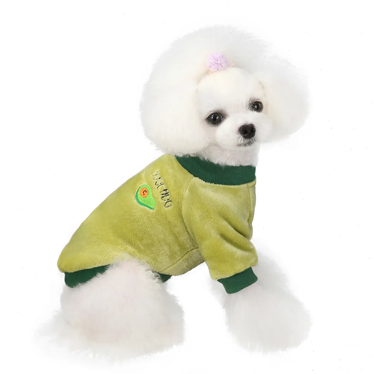 Fruit pattern coral fleece soft pet clothing