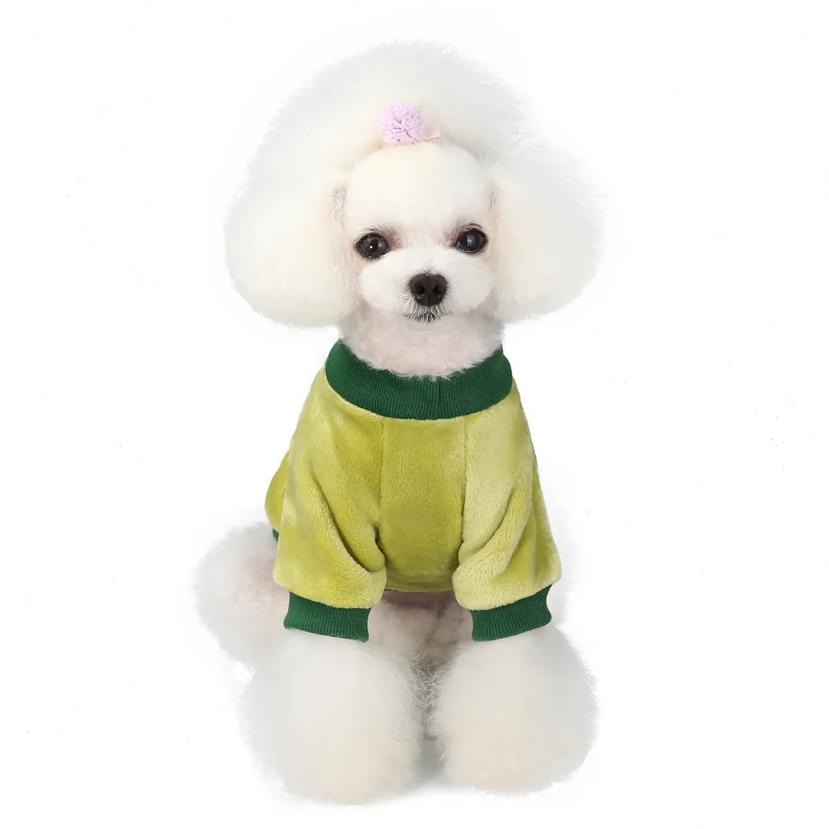 Fruit pattern coral fleece soft pet clothing