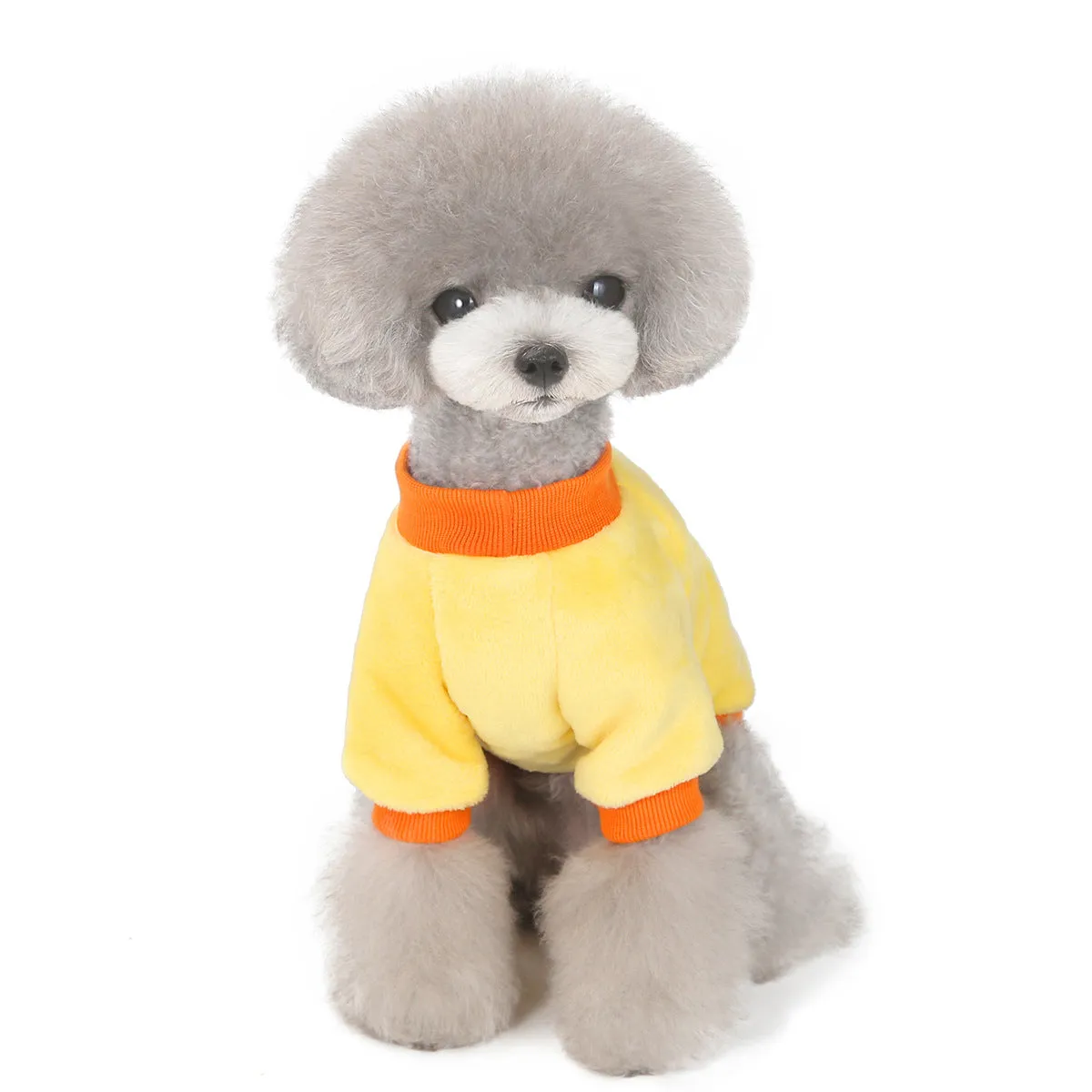 Fruit pattern coral fleece soft pet clothing