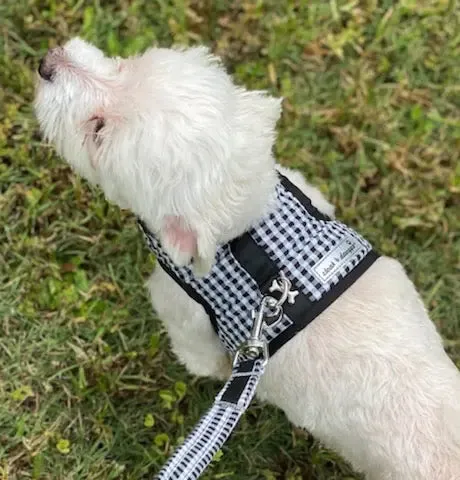 Gingham XXS Teacup Dog Harness Vest 2 LBS to 6 LBS