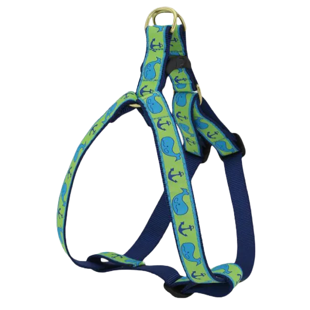 Harness | Blue Whales