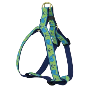 Harness | Blue Whales