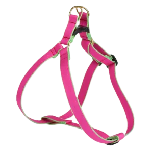 Harness | Bright Pink & Lime
