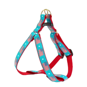 Harness | Flag Day