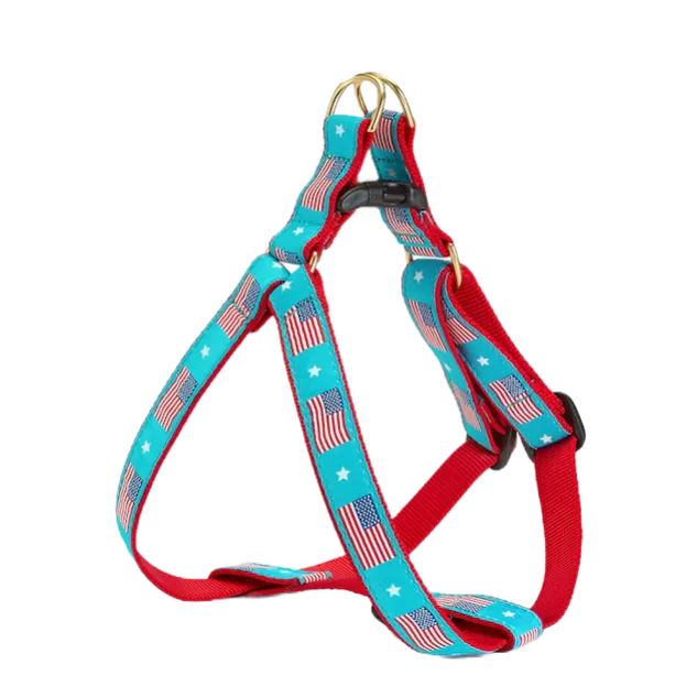 Harness | Flag Day
