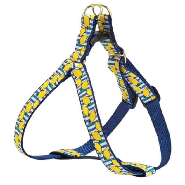 Harness | Make Lemonade