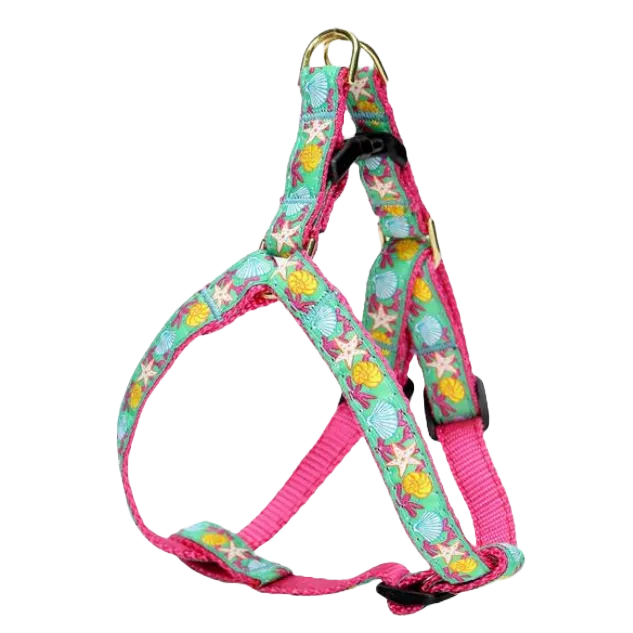 Harness | Reef
