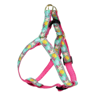 Harness | Reef