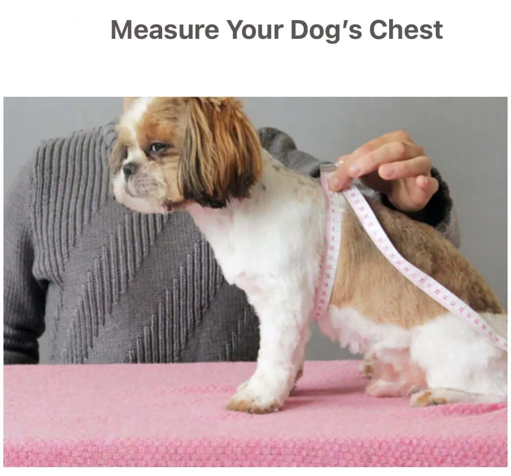 KUTKUT Small Puppy Dog Cat Warm Sweater, Geometric Pattern Breathable Round Neck Flannel Fleece Sweater, Winter Shirt for Yorkii, Maltese, Mini Pom Puppy Cats