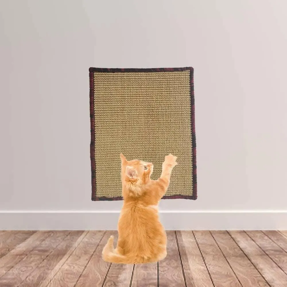 Mats Avenue Multi Use Cat Scratch Pad/Cat (30x40 Cm,Brown)