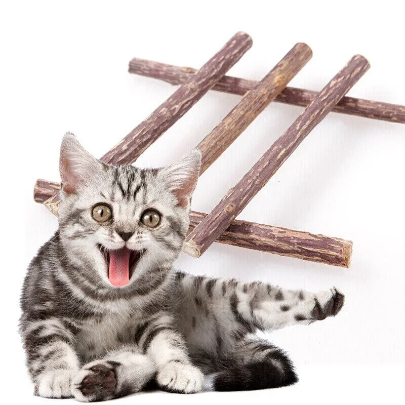 Natural Catnip Toy