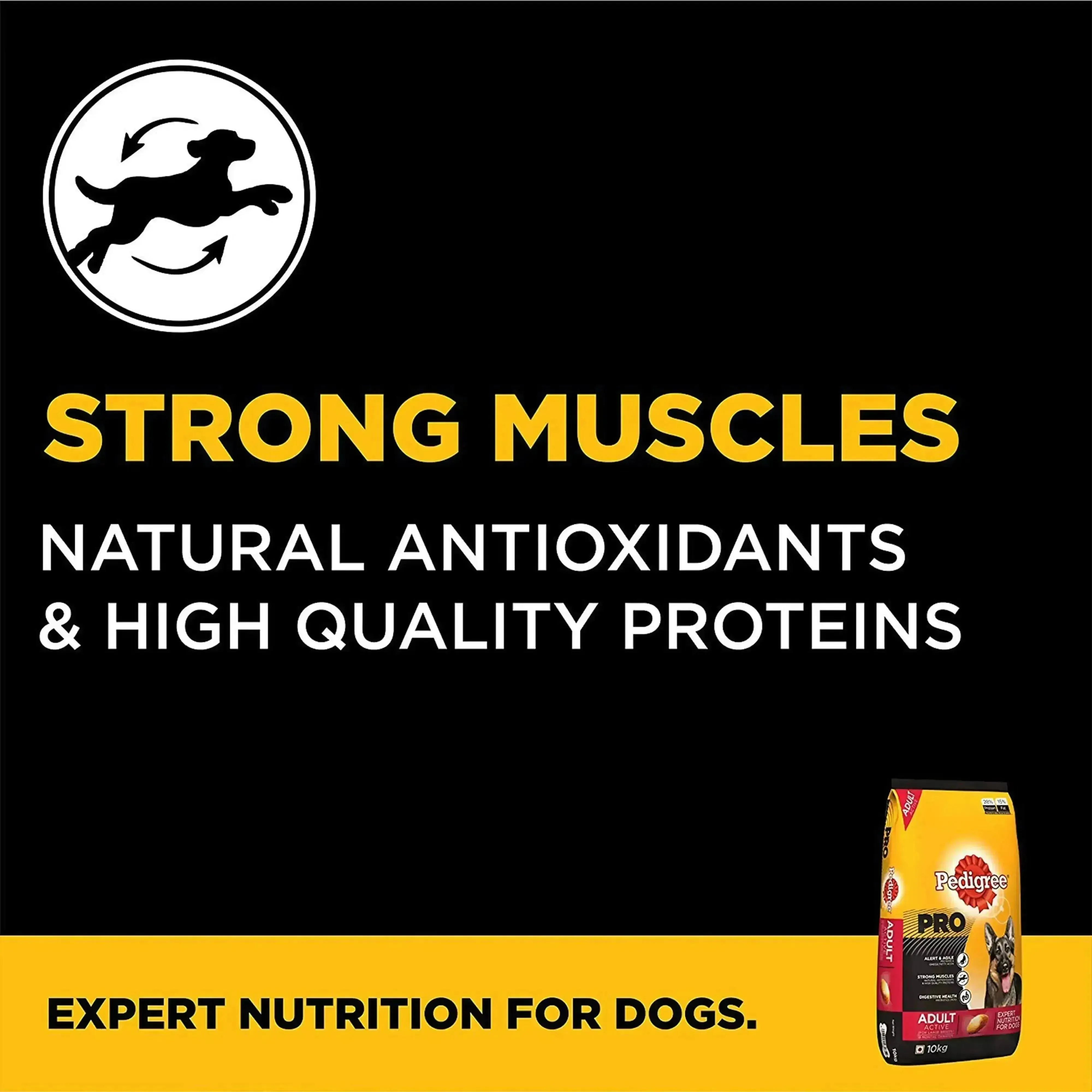 Pedigree Pro Expert Nutrition Active Adult
