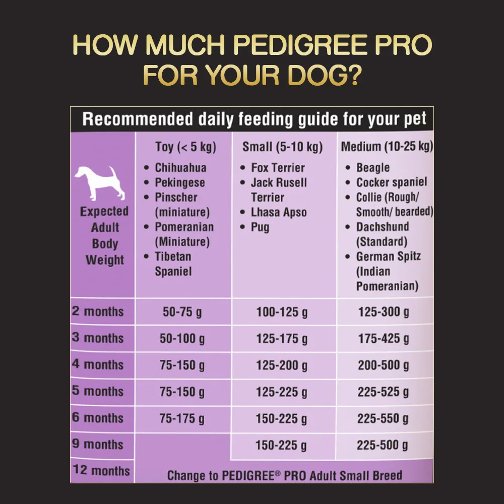 Pedigree PRO Expert Nutrition Small Breed Puppy Dry and Chicken Chunks in Gravy Puppy Wet Food Combo