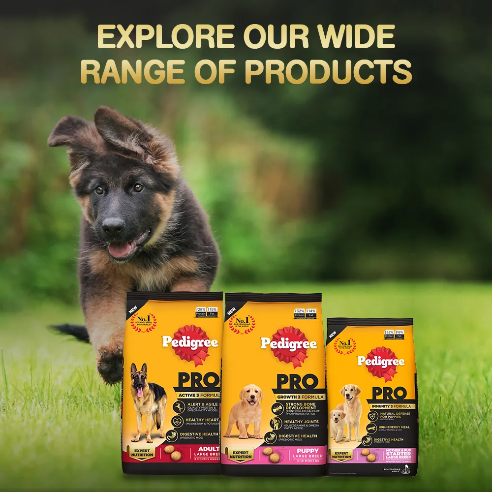 Pedigree PRO Expert Nutrition Small Breed Puppy Dry and Chicken Chunks in Gravy Puppy Wet Food Combo
