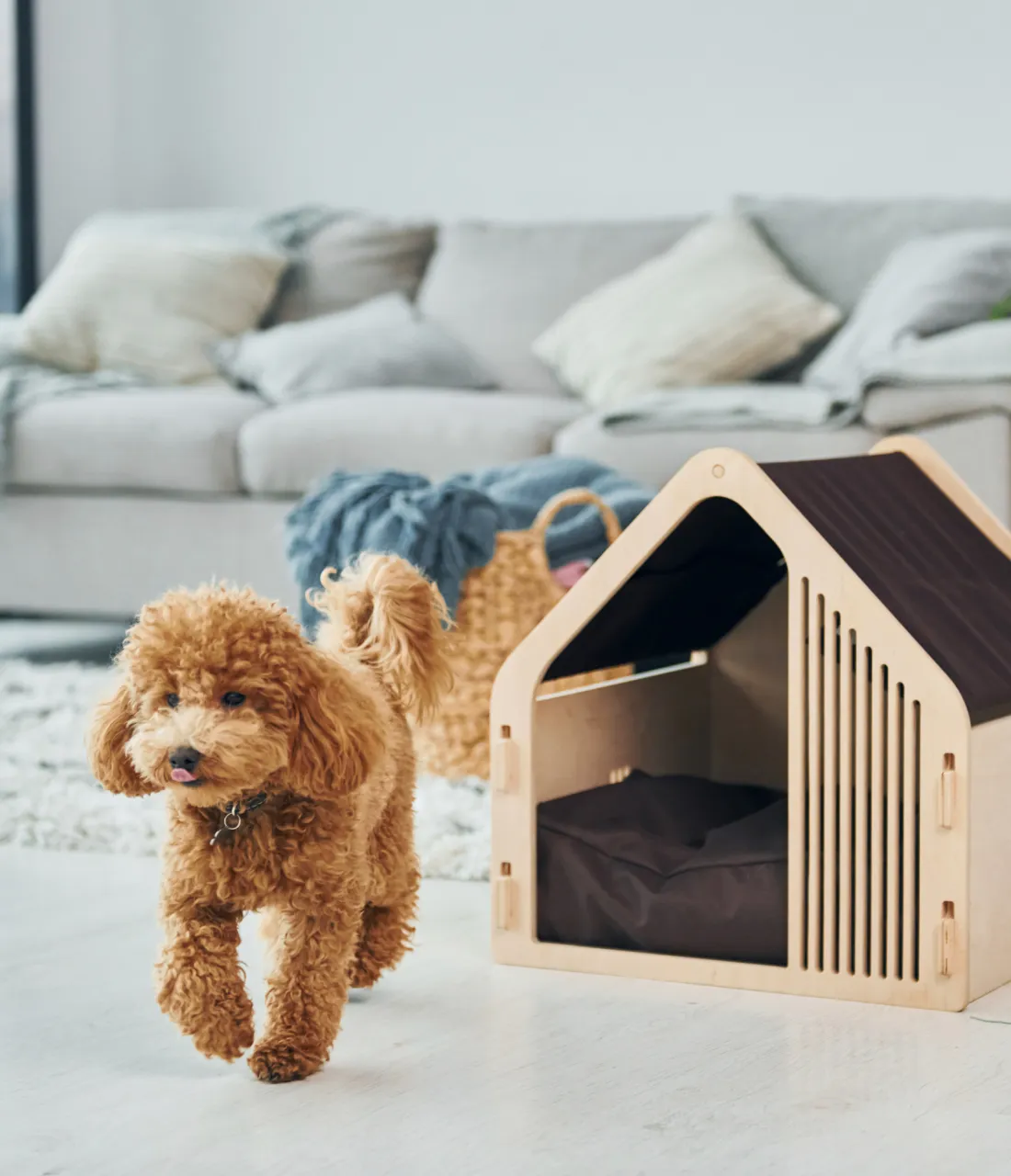Pet wooden house