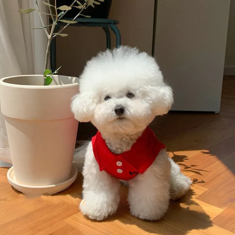 Polo Shirt Pet Tee