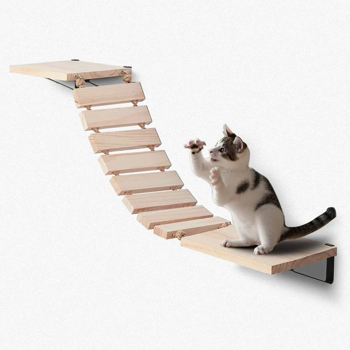 Purife Handcrafted Wall Mounted Cat Shelves, Cat Wall Furniture Set, Cat Wall Bridge Shelf & Perch, Cat Climbing Wall Steps Ladder Cat Hammock Bed