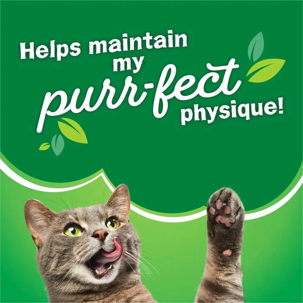 Purina Dry Cat Food High Protein 16 Lb