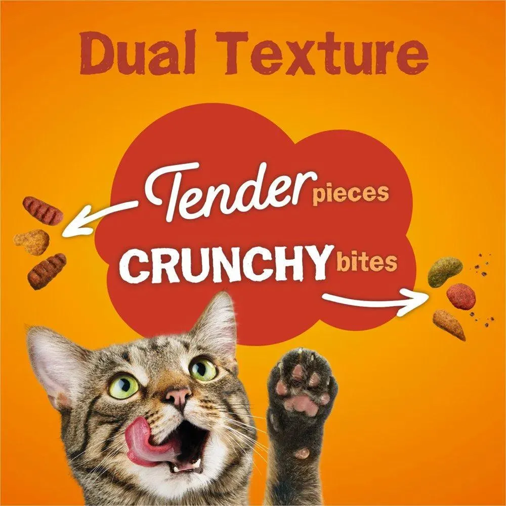 Purina Dry Cat Food High Protein 16 Lb