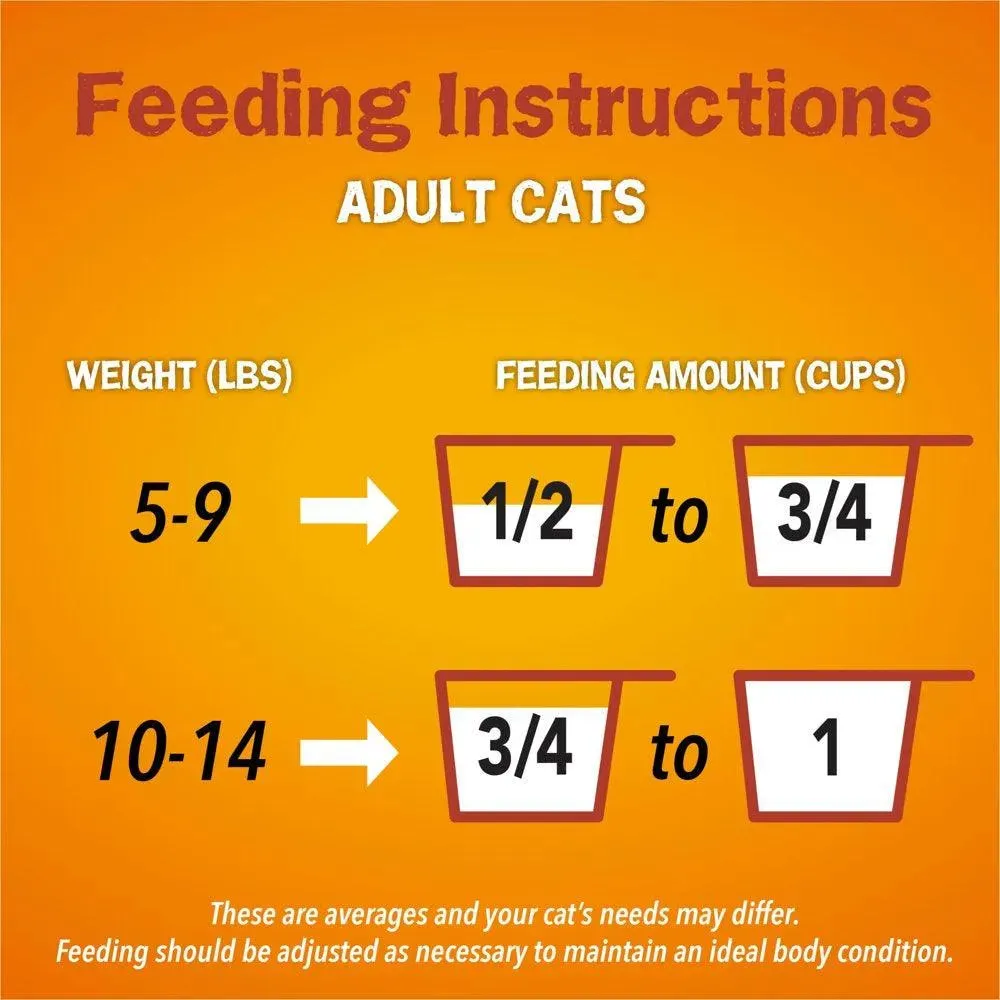 Purina Dry Cat Food High Protein 16 Lb