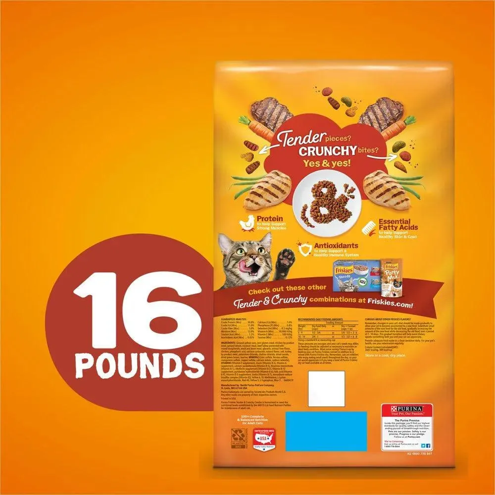 Purina Dry Cat Food High Protein 16 Lb