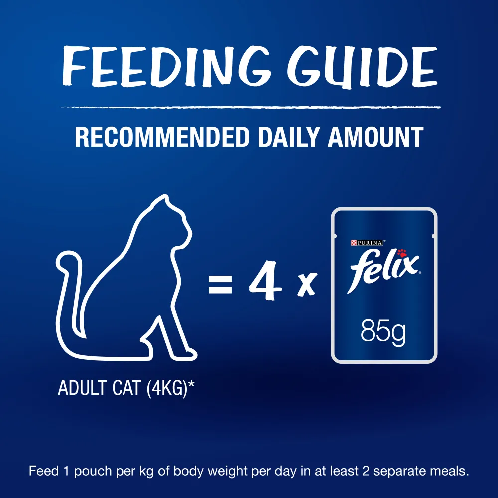 Purina Felix Sardine with Jelly and Salmon with Jelly Adult Cat Wet Food Combo
