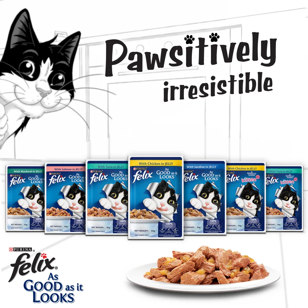 Purina Felix Sardine with Jelly and Salmon with Jelly Adult Cat Wet Food Combo