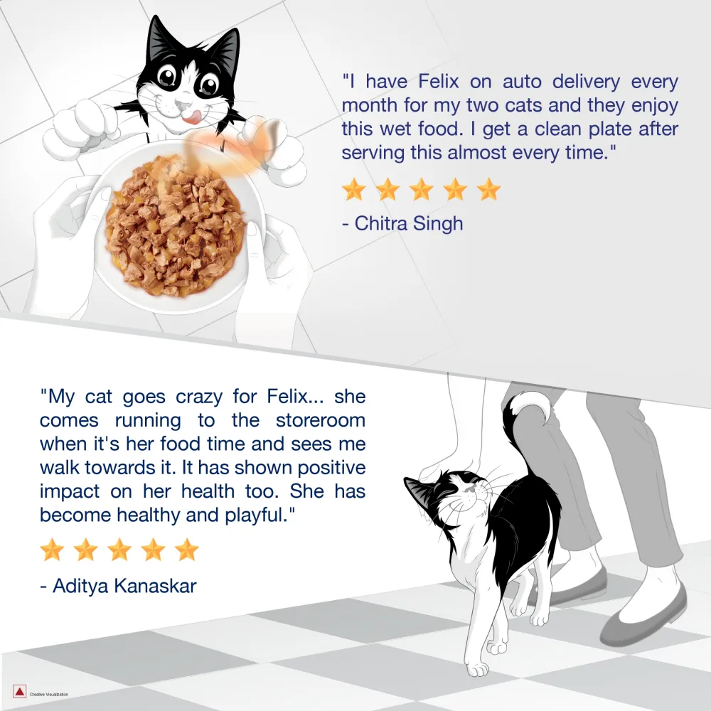 Purina Felix Sardine with Jelly and Salmon with Jelly Adult Cat Wet Food Combo