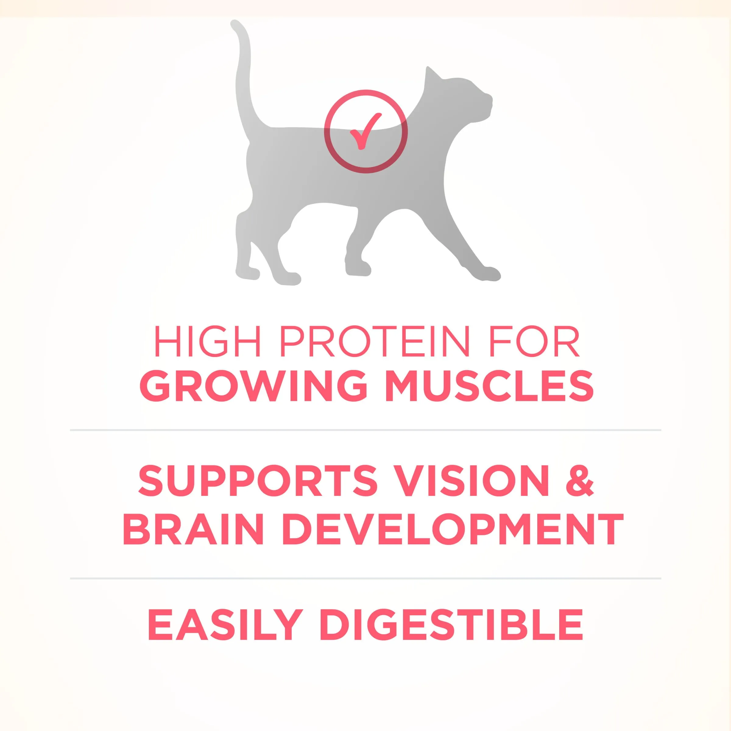 Purina ONE High Protein, Natural Dry Kitten Food,  Plus Healthy Kitten 3.5 lbs