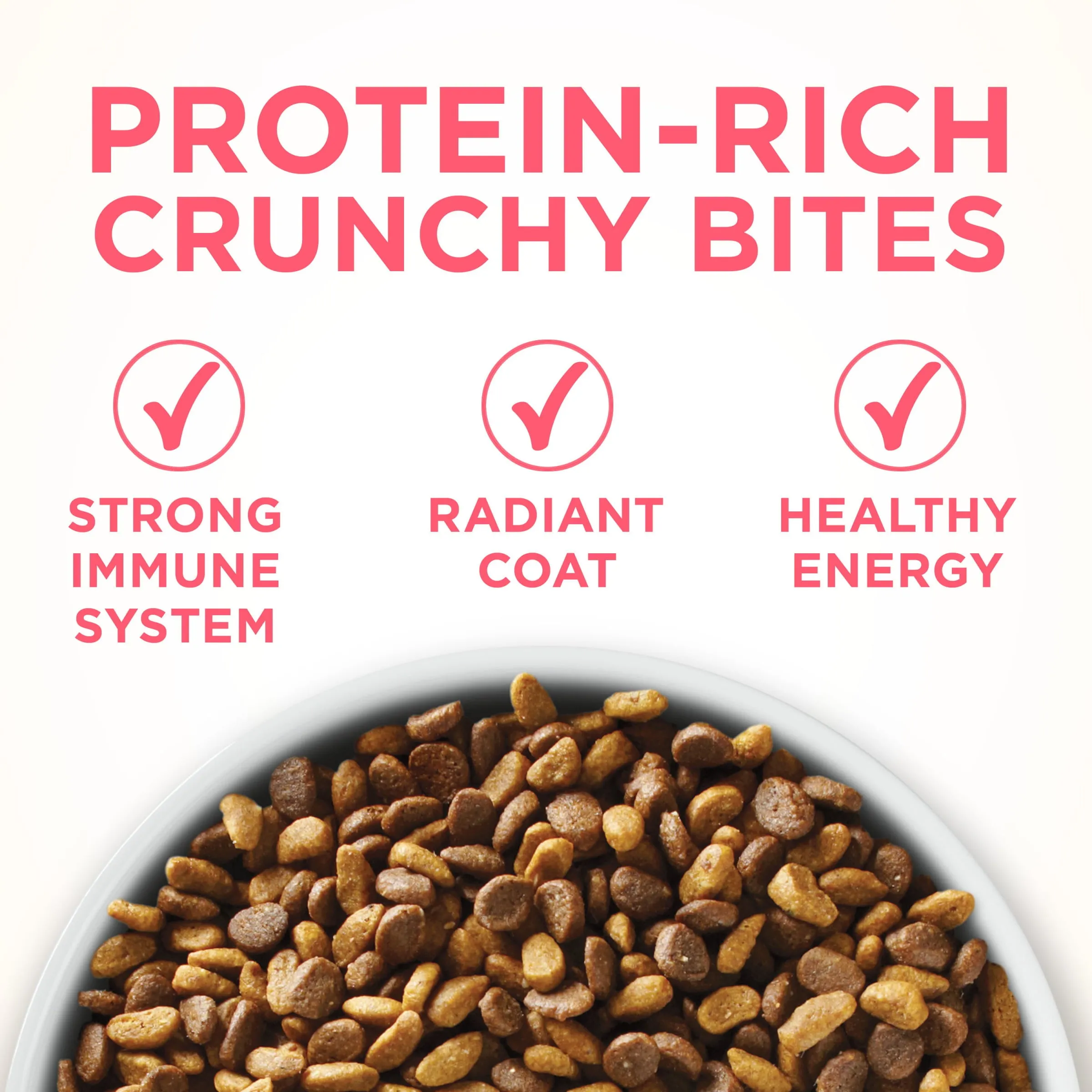 Purina ONE High Protein, Natural Dry Kitten Food,  Plus Healthy Kitten 3.5 lbs