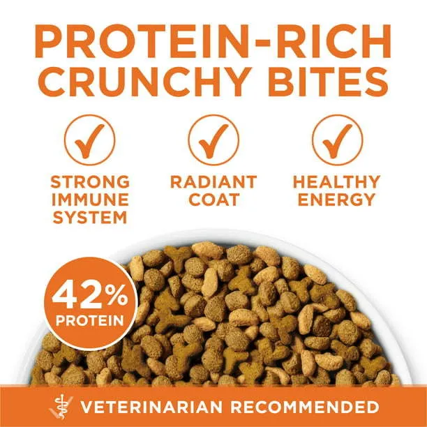 Purina One  Plus Ideal Weight High Protein Dry Cat Food Turkey, 16 lb Bag