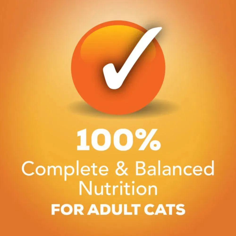 Purina Pate Wet Cat Food Chicken Lovers 32 Pack